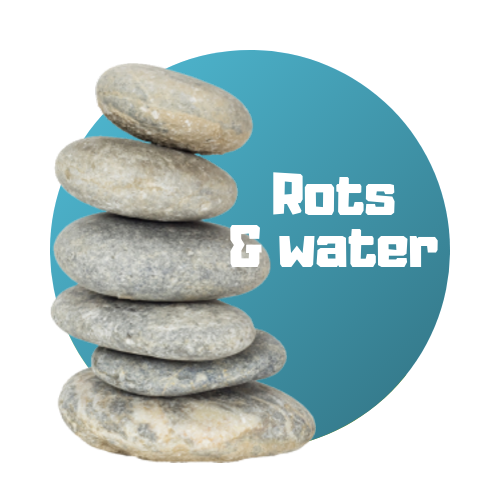 Rots &amp; water training - januari